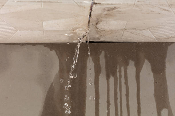 Professional Structural Drying technician working in Detroit, OR